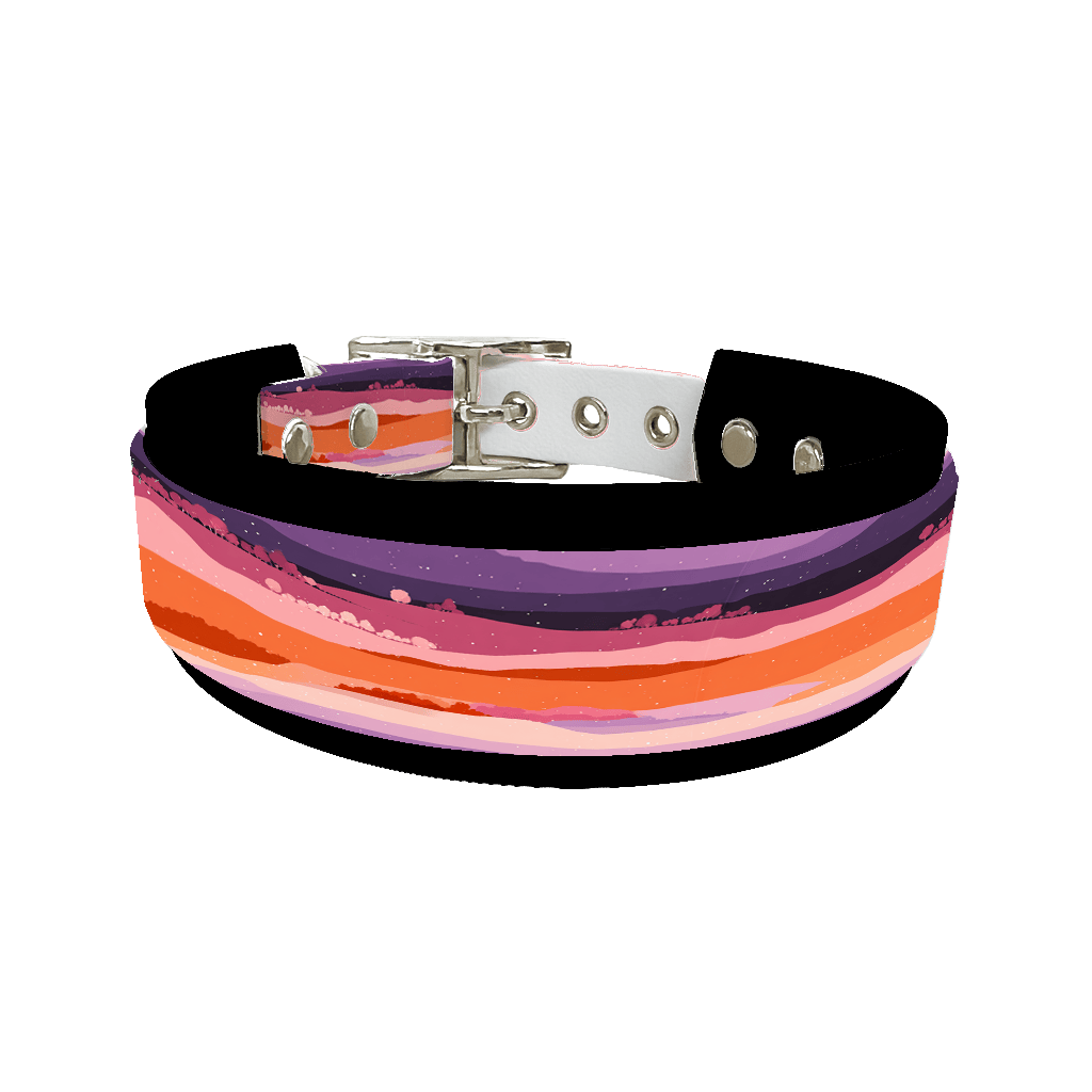 L'atelier du Fourmilier collier double 414 Collier double large pour chien en BioThane® imprimé – Collection paysage– 38/25 mm