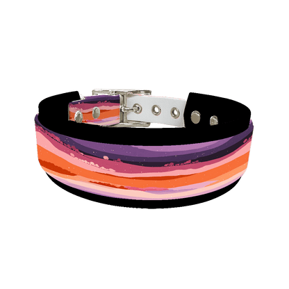 L'atelier du Fourmilier collier double 414 Collier double large pour chien en BioThane® imprimé – Collection paysage– 38/25 mm