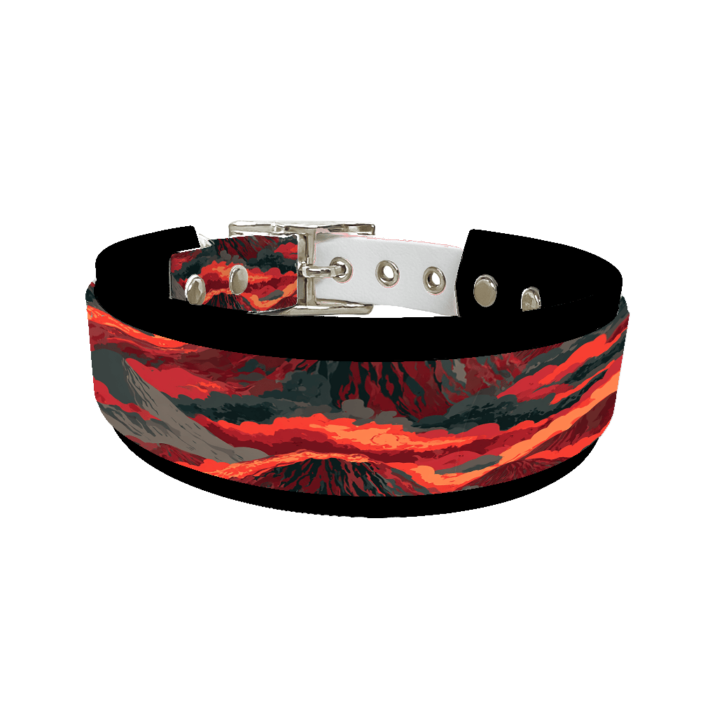 L'atelier du Fourmilier collier double 421 Collier double large pour chien en BioThane® imprimé – Collection paysage– 38/25 mm