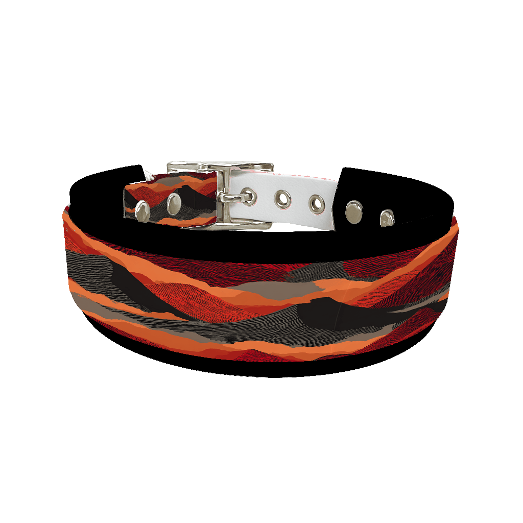 L'atelier du Fourmilier collier double 422 Collier double large pour chien en BioThane® imprimé – Collection paysage– 38/25 mm