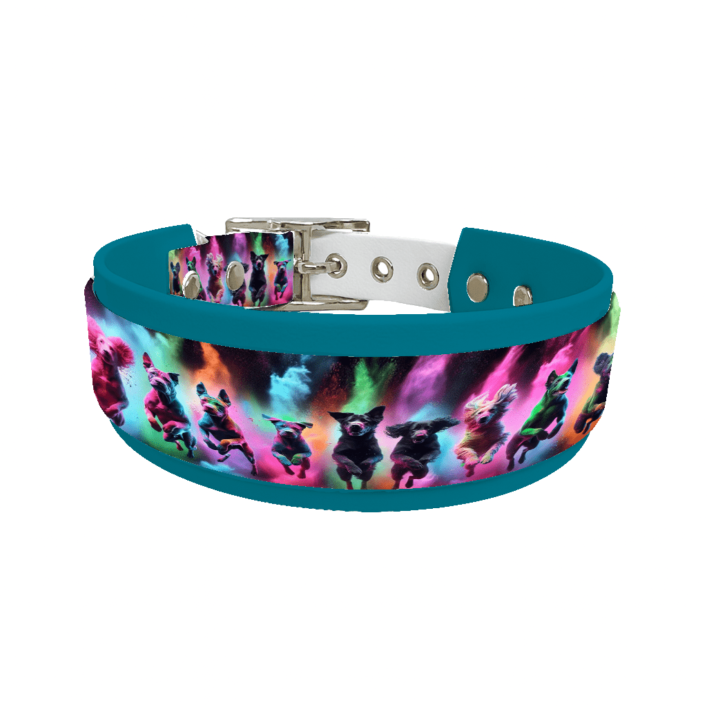 L'atelier du Fourmilier collier double 62 Collier double large pour chien en BioThane® imprimé – Collection chiens– 38/25 mm