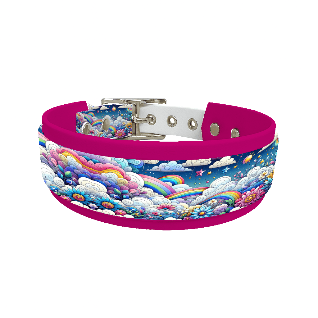 L'atelier du Fourmilier collier double 69 Collier double large pour chien en BioThane® imprimé – Collection nuages– 38/25 mm