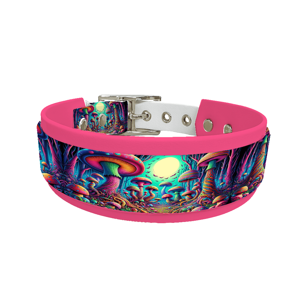 L'atelier du Fourmilier collier double 72 Collier double large pour chien en BioThane® imprimé – Collection forêt enchantée – 38/25 mm