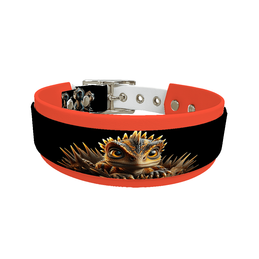 L'atelier du Fourmilier collier double 79 Collier double large pour chien en BioThane® imprimé – Collection monstres et créatures imaginaires– 38/25 mm