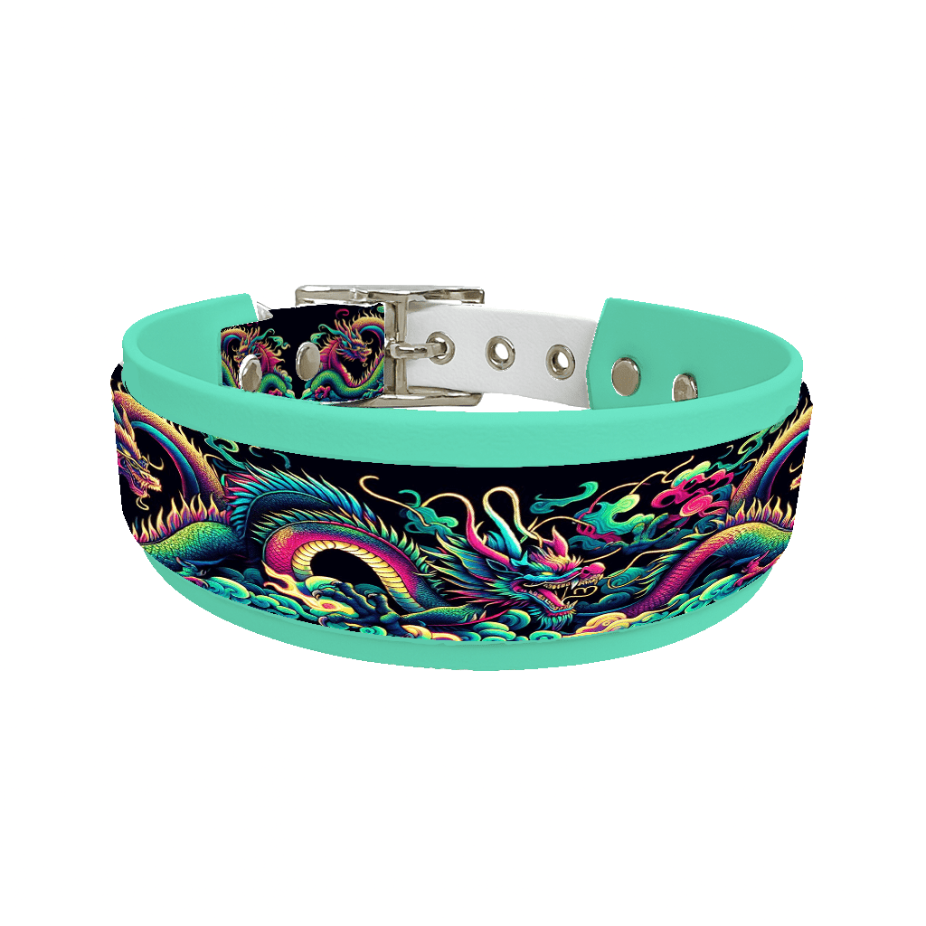 L'atelier du Fourmilier collier double 80 Collier double large pour chien en BioThane® imprimé – Collection Tribal – 38/25 mm