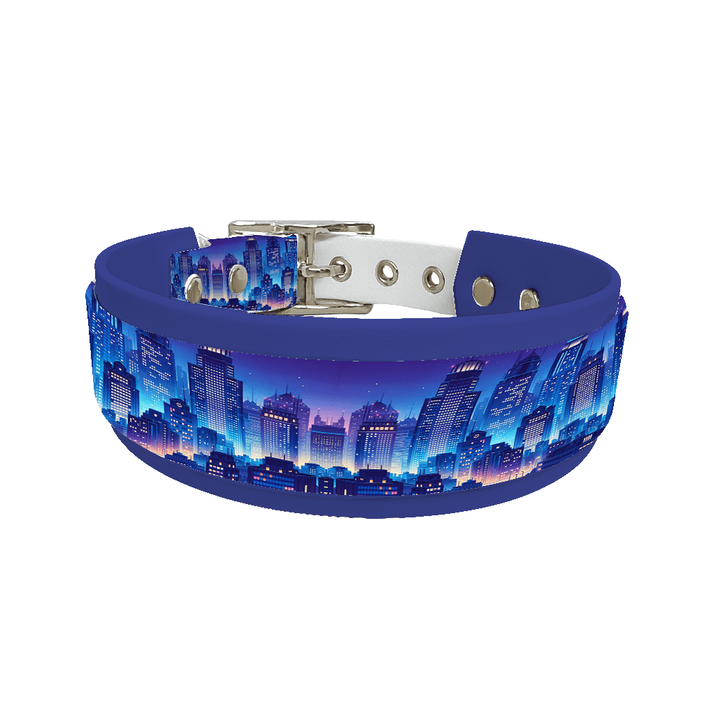 L'atelier du Fourmilier collier double 90 Collier double large pour chien en BioThane® imprimé – Collection pop art– 38/25 mm