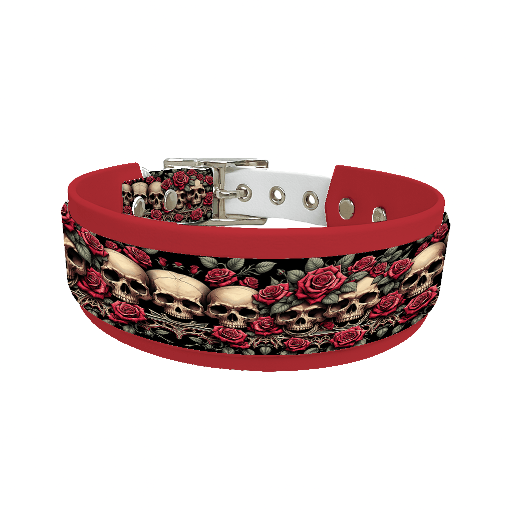 L'atelier du Fourmilier collier double 91 Collier double large pour chien en BioThane® imprimé – Collection tête de mort– 38/25 mm
