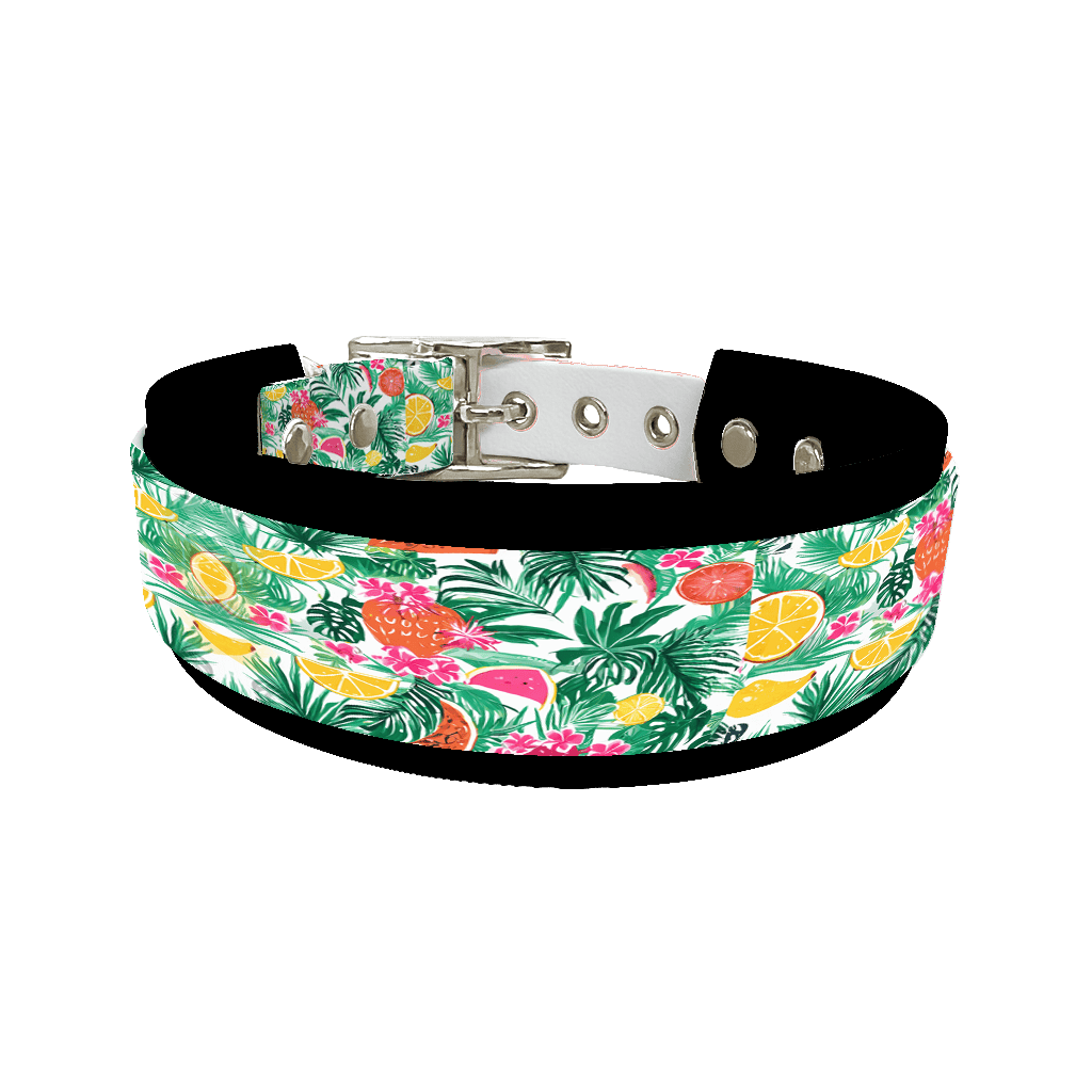 L'atelier du Fourmilier collier double Collier double large pour chien en BioThane® imprimé – Collection plantes et fleurs – 25/19 mm