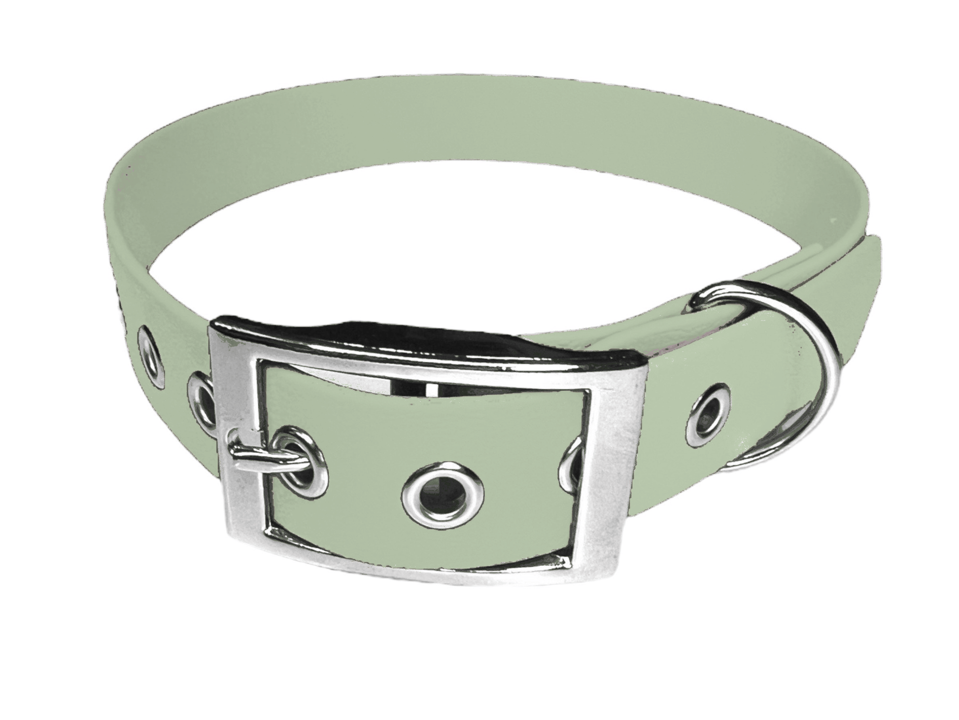 L'atelier du Fourmilier Collier pour chien personnalisable Collier chien 19 mm en Biothane – Personnalisable – Coloris au choix