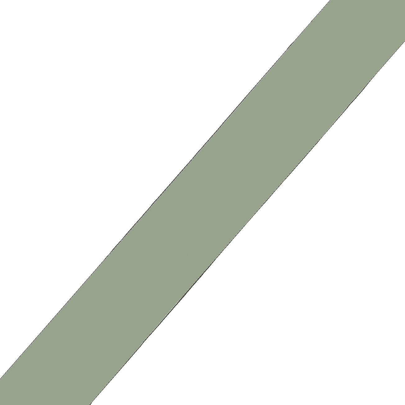 L'atelier du Fourmilier Collier pour chien personnalisable Collier chien 19 mm en Biothane – Personnalisable – Coloris au choix