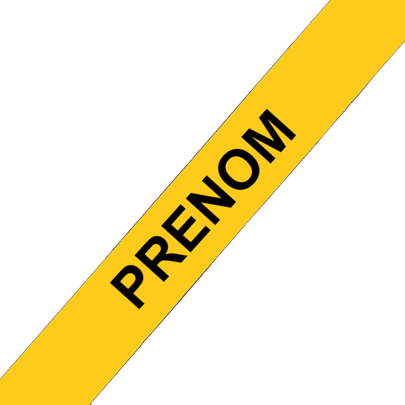 L'atelier du Fourmilier Collier pour chien personnalisable Collier chien 19 mm en Biothane – Personnalisable – Coloris au choix