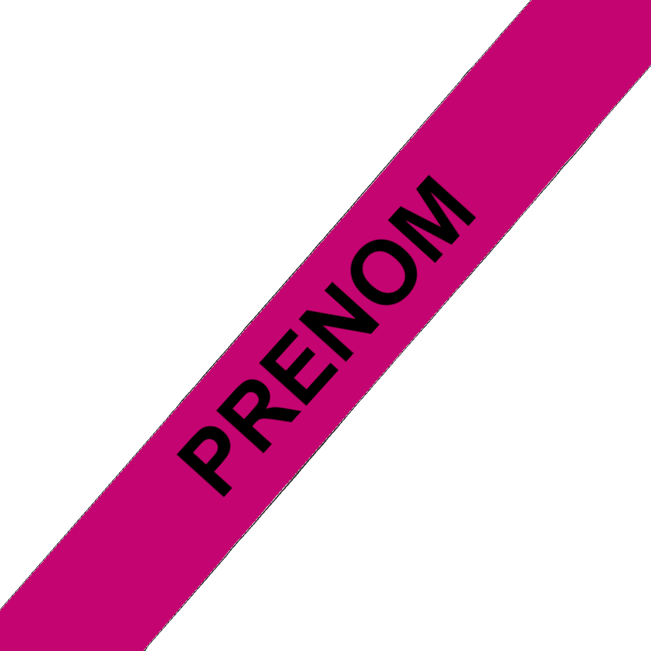 L'atelier du Fourmilier Collier pour chien personnalisable Collier chien 19 mm en Biothane – Personnalisable – Coloris au choix