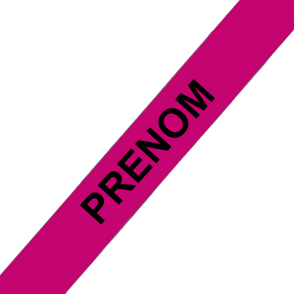 L'atelier du Fourmilier Collier pour chien personnalisable Collier chien 19 mm en Biothane – Personnalisable – Coloris au choix