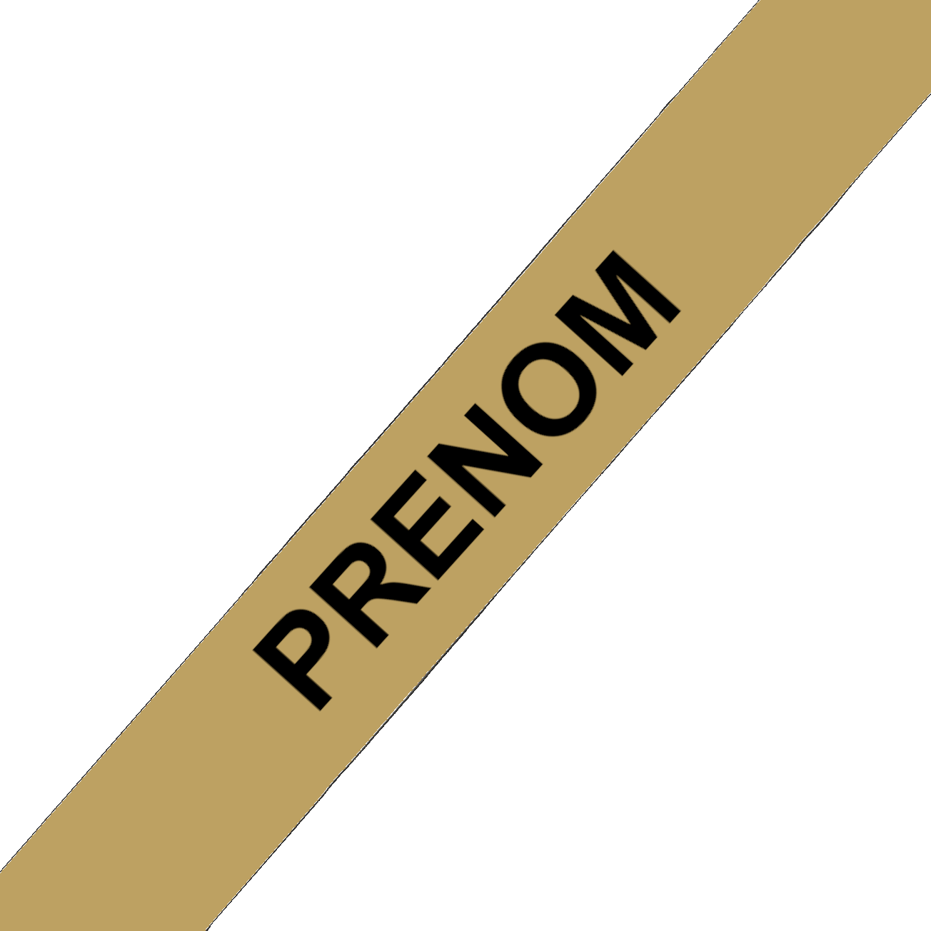 L'atelier du Fourmilier Collier pour chien personnalisable Collier chien 19 mm en Biothane – Personnalisable – Coloris au choix