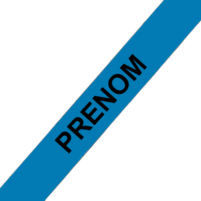 L'atelier du Fourmilier Collier pour chien personnalisable Collier chien 19 mm en Biothane – Personnalisable – Coloris au choix