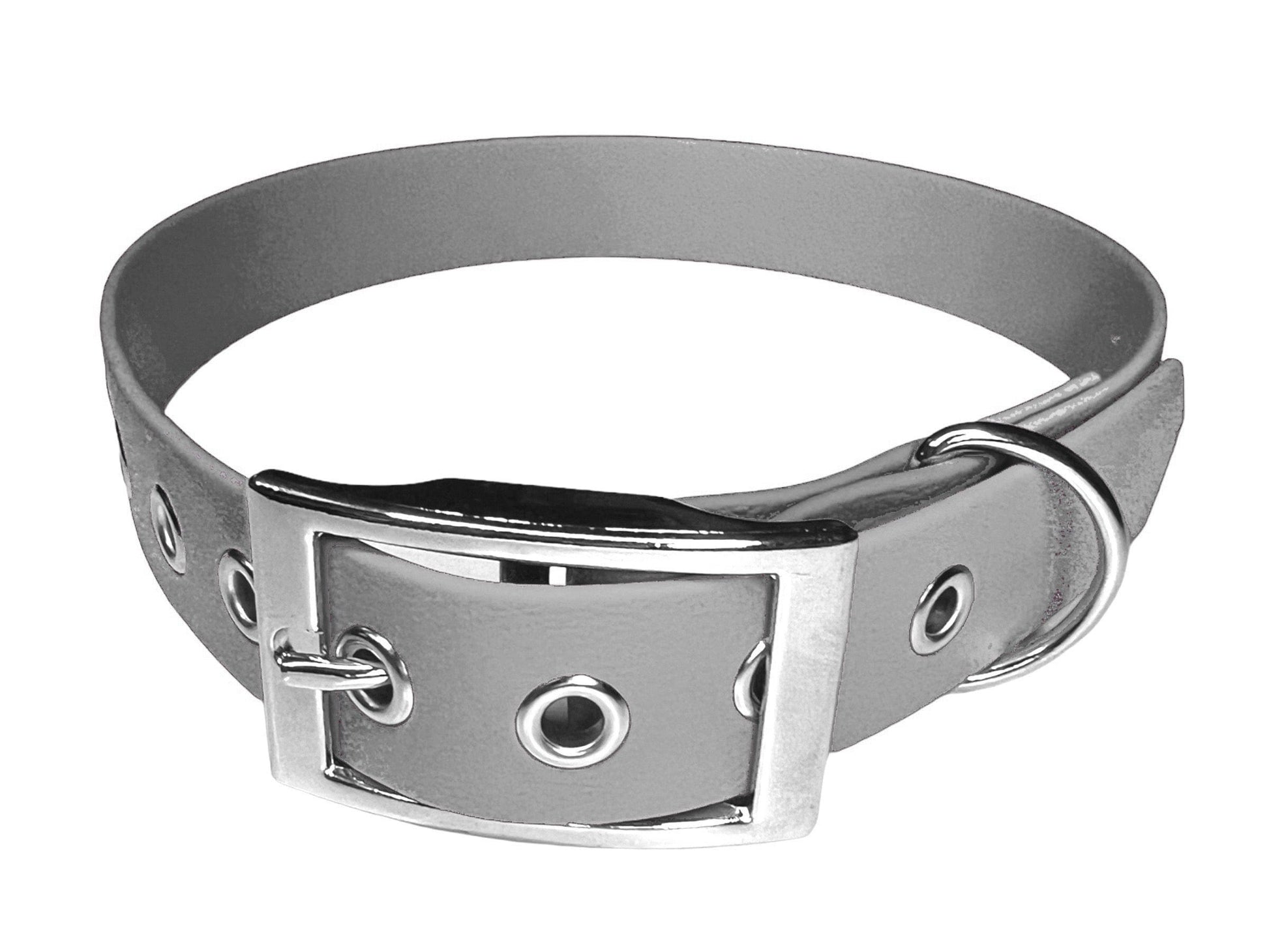 L'atelier du Fourmilier Collier pour chien personnalisable XXS / Argent Collier chien 25 mm en Biothane – Personnalisable – Coloris au choix