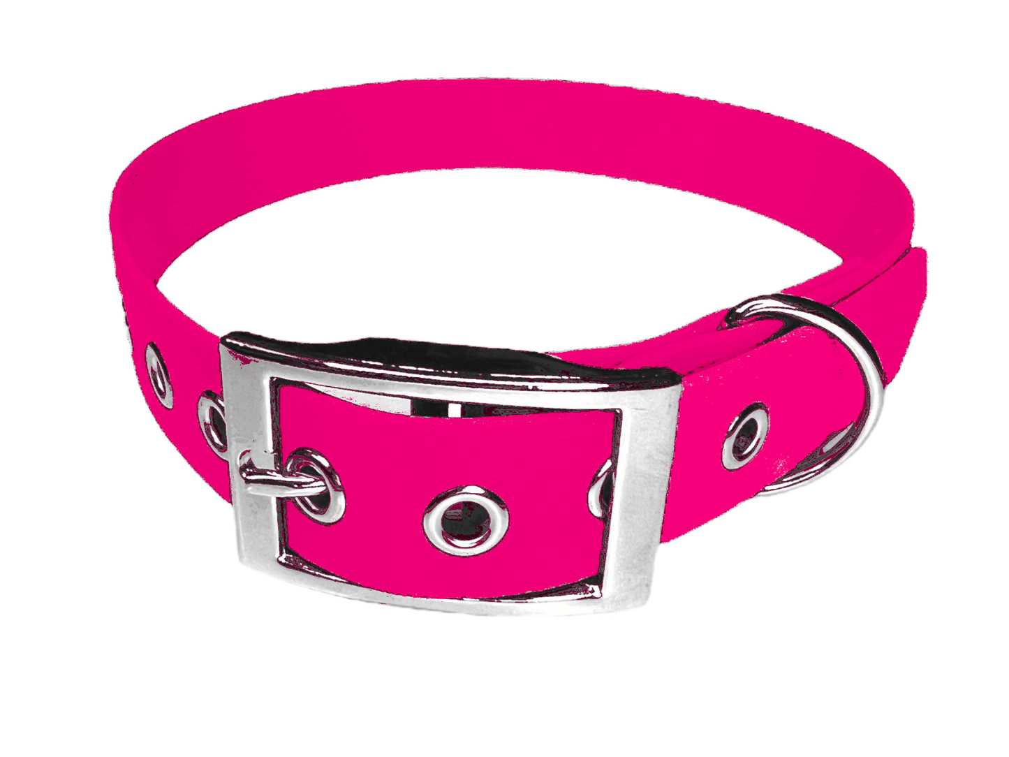 L'atelier du Fourmilier Collier pour chien personnalisable XXS / Fuchsia Collier chien 19 mm en Biothane – Personnalisable – Coloris au choix