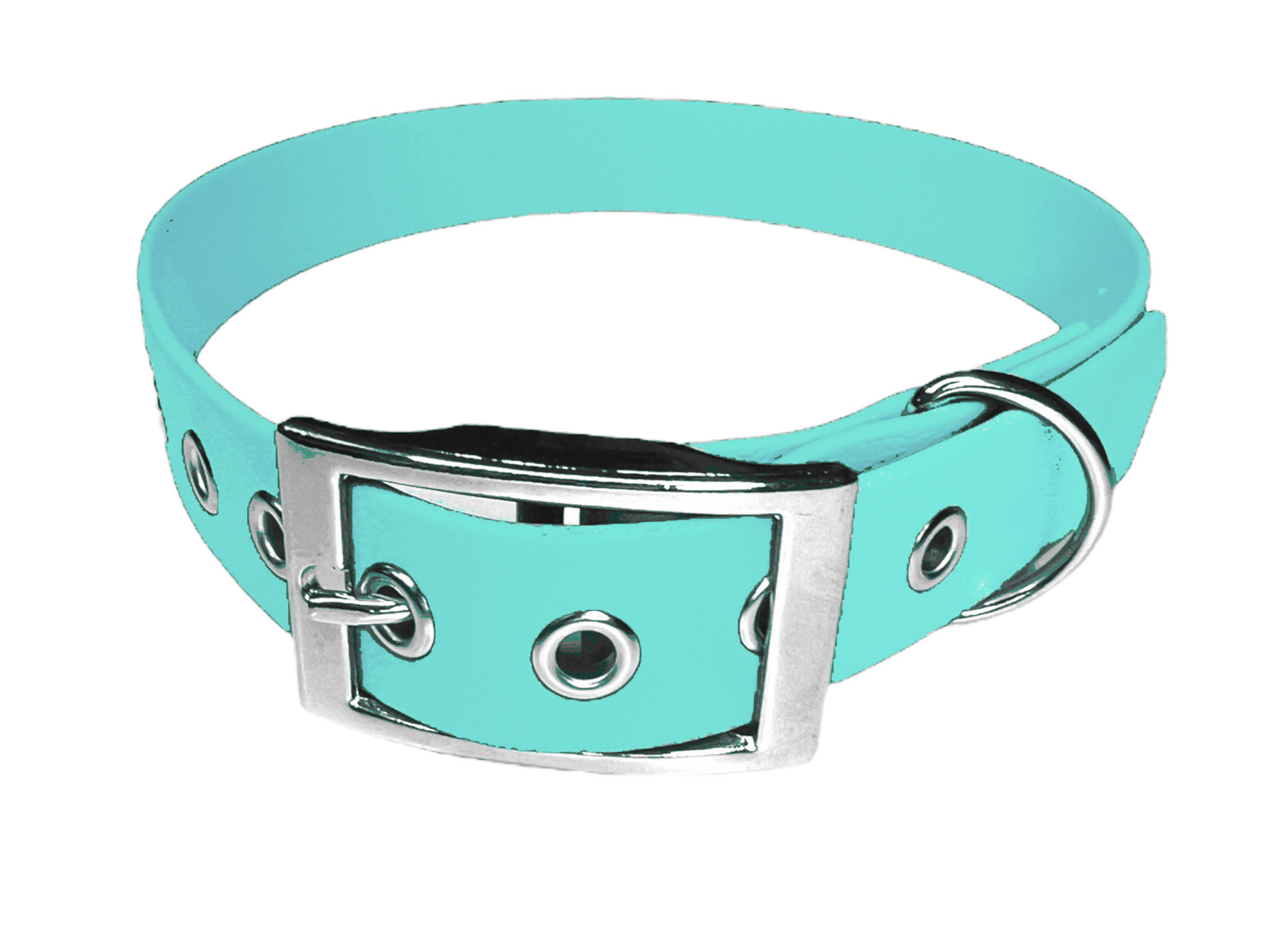 L'atelier du Fourmilier Collier pour chien personnalisable XXS / Vert Caribéen Collier chien 19 mm en Biothane – Personnalisable – Coloris au choix