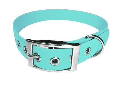 L'atelier du Fourmilier Collier pour chien personnalisable XXS / Vert Caribéen Collier chien 19 mm en Biothane – Personnalisable – Coloris au choix