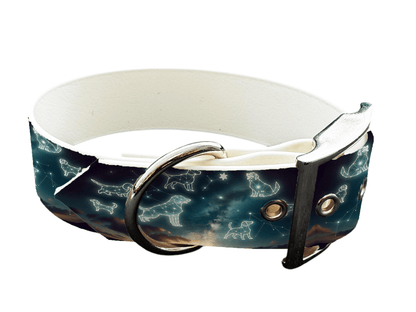 L'atelier du Fourmilier Colliers 111 Collier large pour chien en BioThane® imprimé – Collection galaxie – 38mm