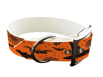 L'atelier du Fourmilier colliers 290 Collier pour chien en BioThane® imprimé – Collection Halloween– 19mm