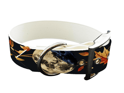 L'atelier du Fourmilier Colliers 297 Collier large pour chien en BioThane® imprimé – Collection galaxie – 19mm