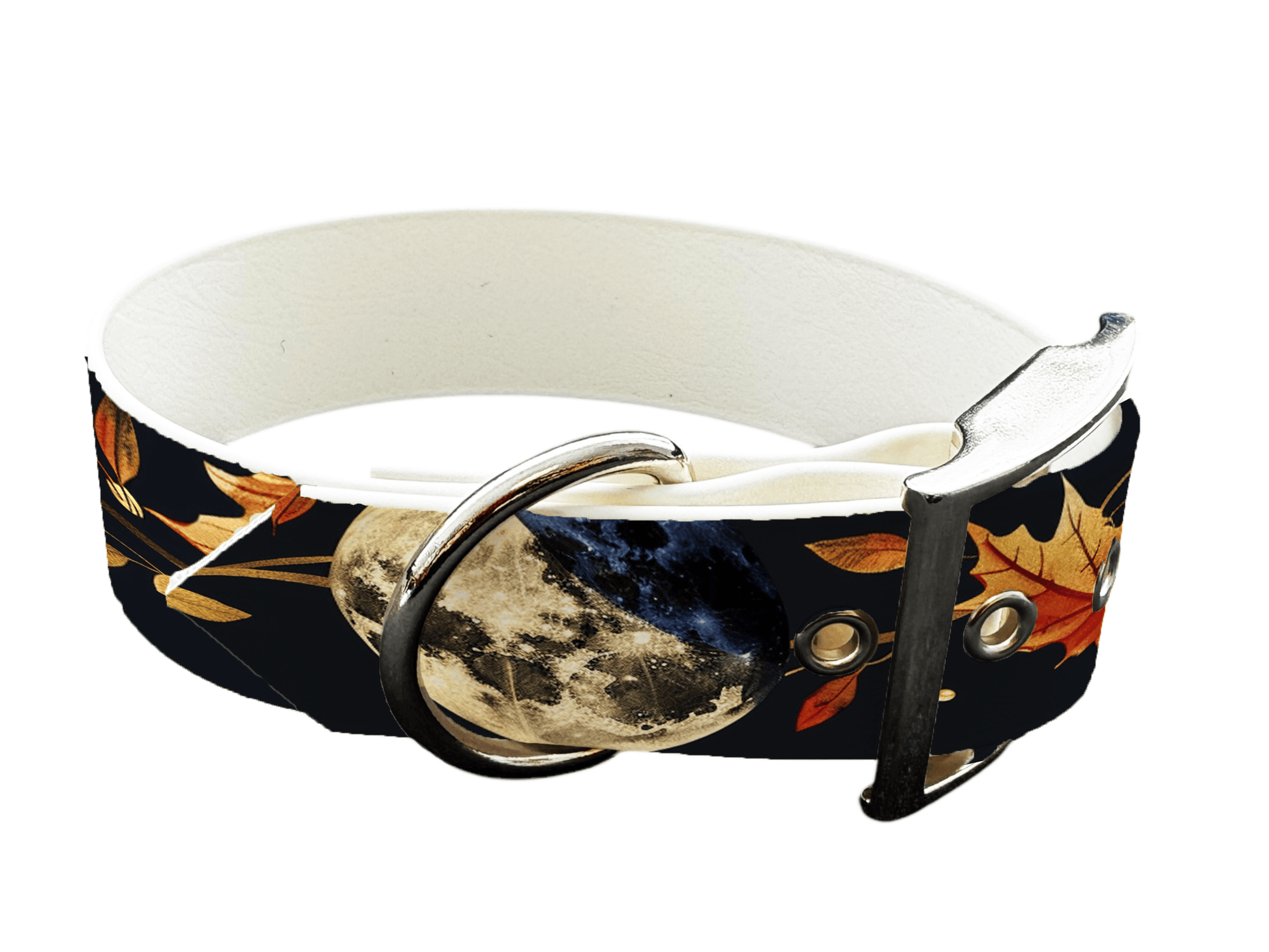 L'atelier du Fourmilier Colliers 297 Collier large pour chien en BioThane® imprimé – Collection galaxie – 25mm