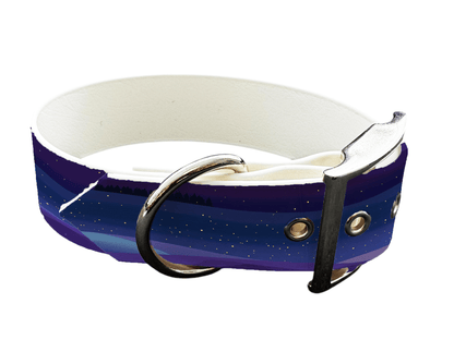 L'atelier du Fourmilier Colliers 416 Collier large pour chien en BioThane® imprimé – Collection paysage– 38mm