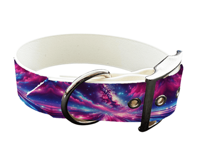 L'atelier du Fourmilier Colliers 43 Collier large pour chien en BioThane® imprimé – Collection galaxie – 38mm