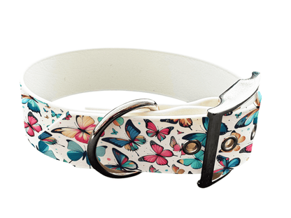 L'atelier du Fourmilier Colliers 54 Collier large pour chien en BioThane® imprimé – Collection insectes– 38mm