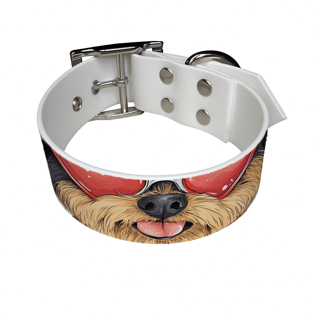 L'atelier du Fourmilier Colliers Collier large pour chien en BioThane® imprimé – Collection chiens– 38mm
