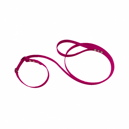 Laisse martingale en BioThane – Largeurs 19 mm ou 25 mm
