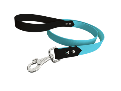 L'atelier du Fourmilier Laisse bicolore Bleu Clair Laisse bicolore Classique en BioThane