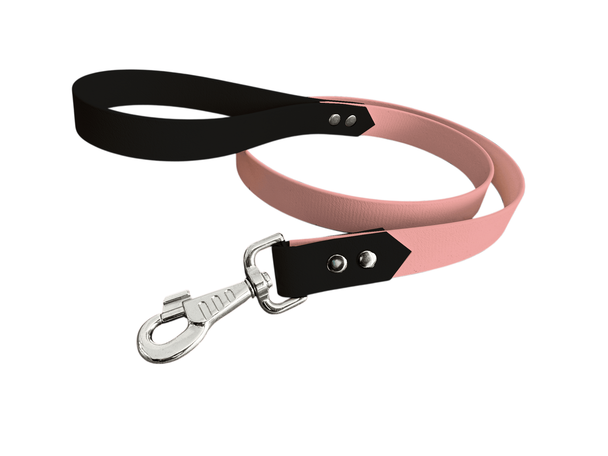 L'atelier du Fourmilier Laisse bicolore Laisse bicolore Classique en BioThane