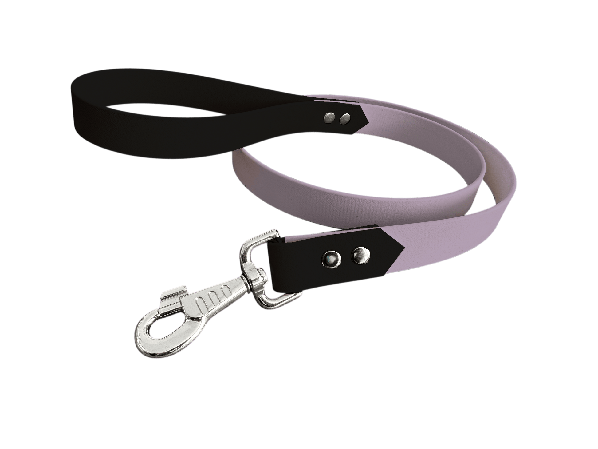 L'atelier du Fourmilier Laisse bicolore Laisse bicolore Classique en BioThane