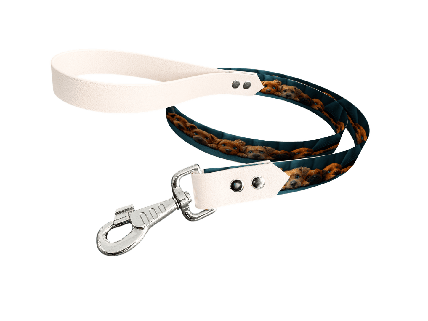 L'atelier du Fourmilier Laisse bicolore longe imprimée 182 / 19mm Laisse bicolore en BioThane® avec longe imprimée – Collection Chiens- Coloris au choix