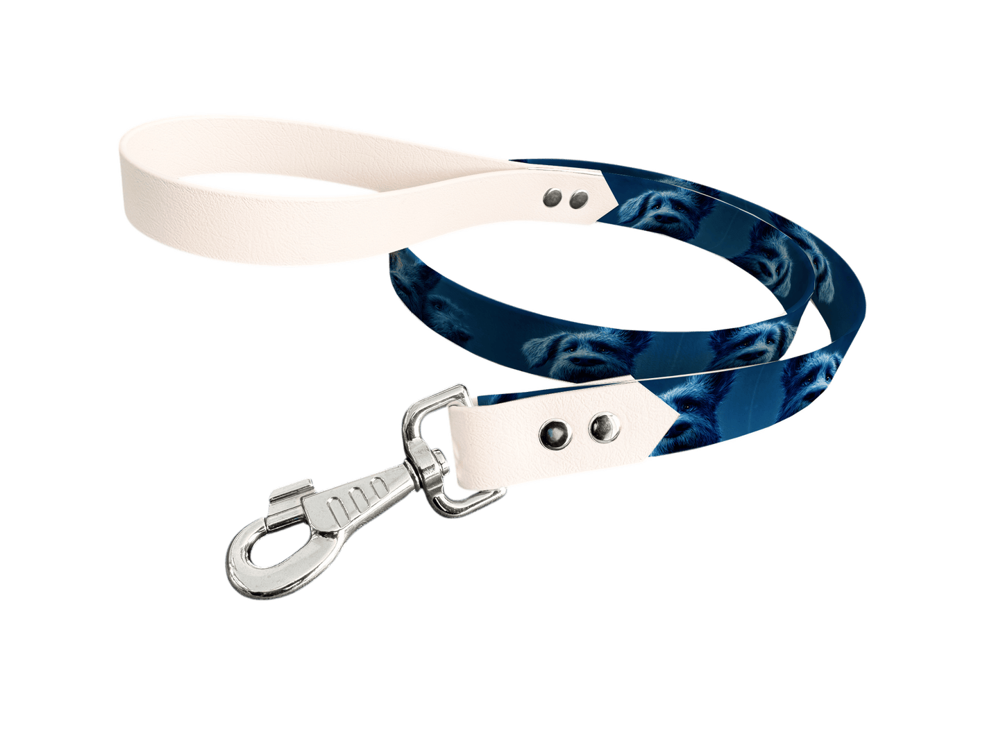 L'atelier du Fourmilier Laisse bicolore longe imprimée 232 / 19mm Laisse bicolore en BioThane® avec longe imprimée – Collection Chiens- Coloris au choix