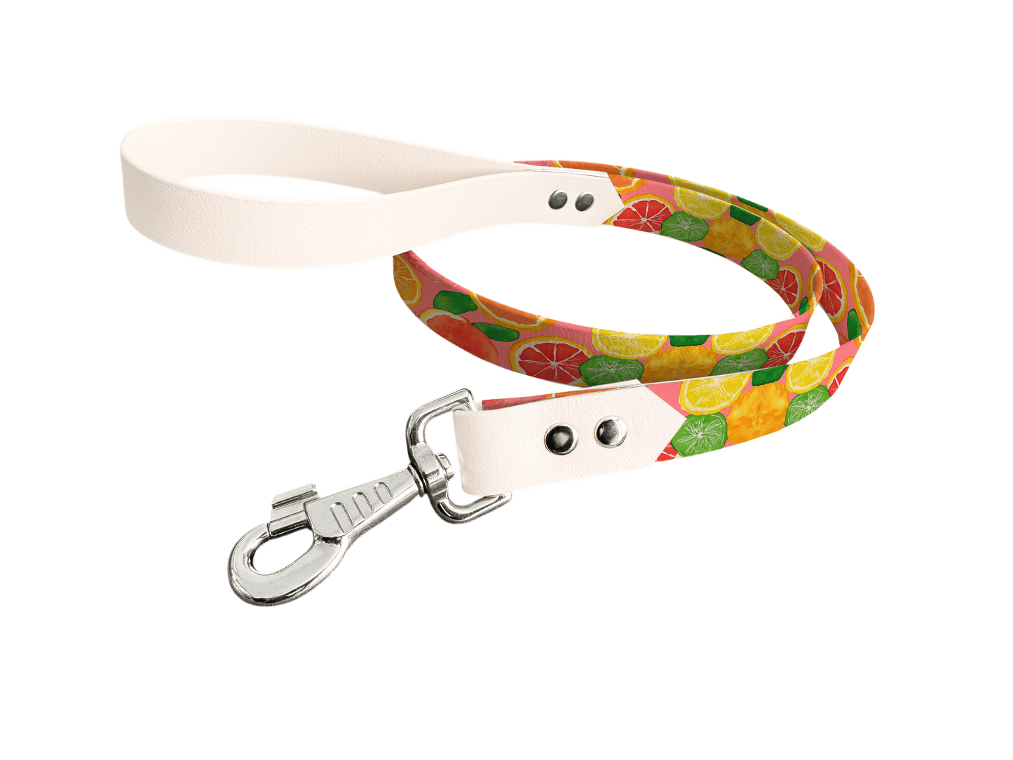 L'atelier du Fourmilier Laisse bicolore longe imprimée 234 / 19mm Laisse bicolore en BioThane® avec longe imprimée – Collection Gourmandises - Coloris au choix