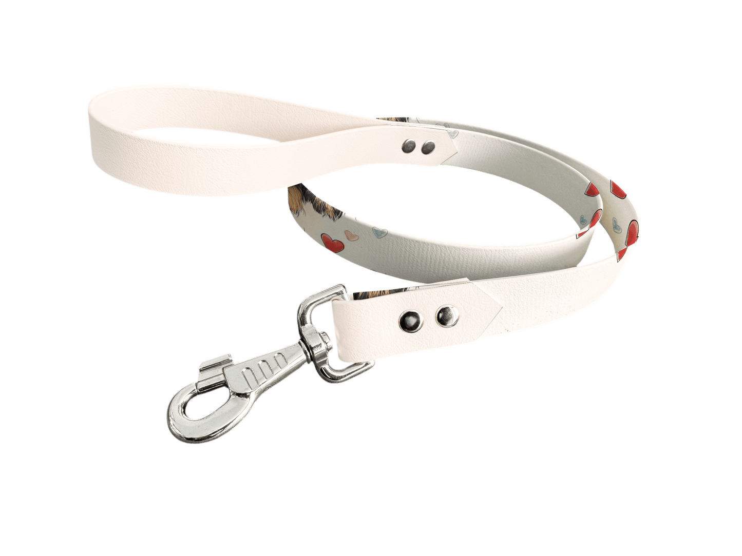 L'atelier du Fourmilier Laisse bicolore longe imprimée 254 / 19mm Laisse bicolore en BioThane® avec longe imprimée – Collection Chiens- Coloris au choix