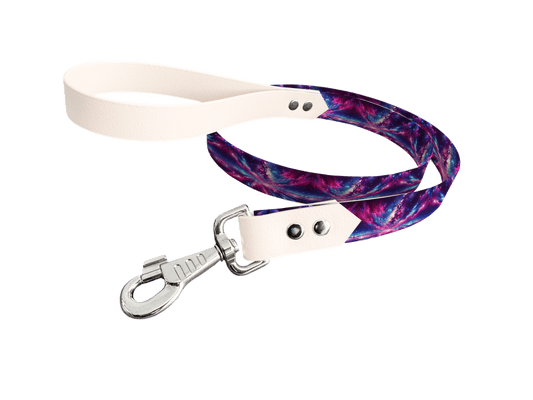 L'atelier du Fourmilier Laisse bicolore longe imprimée 43 / 19mm Laisse bicolore en BioThane® avec longe imprimée – Collection Galaxie- Coloris au choix