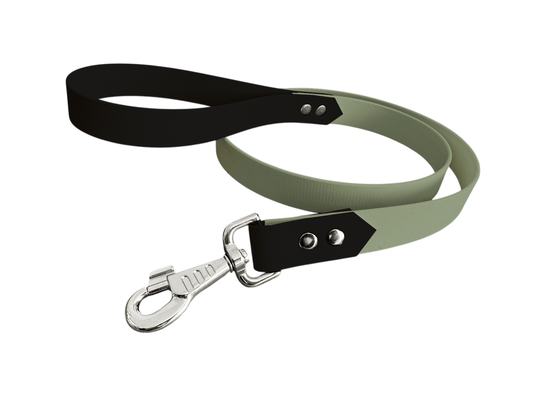 L'atelier du Fourmilier Laisse bicolore Menthe Laisse bicolore Classique en BioThane