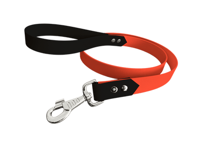 L'atelier du Fourmilier Laisse bicolore Orange Laisse bicolore Classique en BioThane