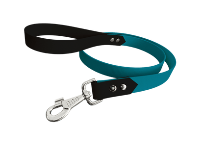 L'atelier du Fourmilier Laisse bicolore Pétrole Laisse bicolore Classique en BioThane