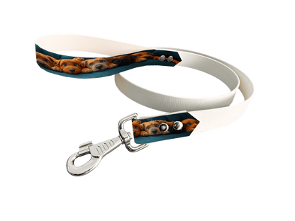 L'atelier du Fourmilier Laisse bicolore poignée imprimée 182 / 19mm Laisse bicolore en BioThane® avec poignée imprimée – Collection Chiens- Coloris au choix