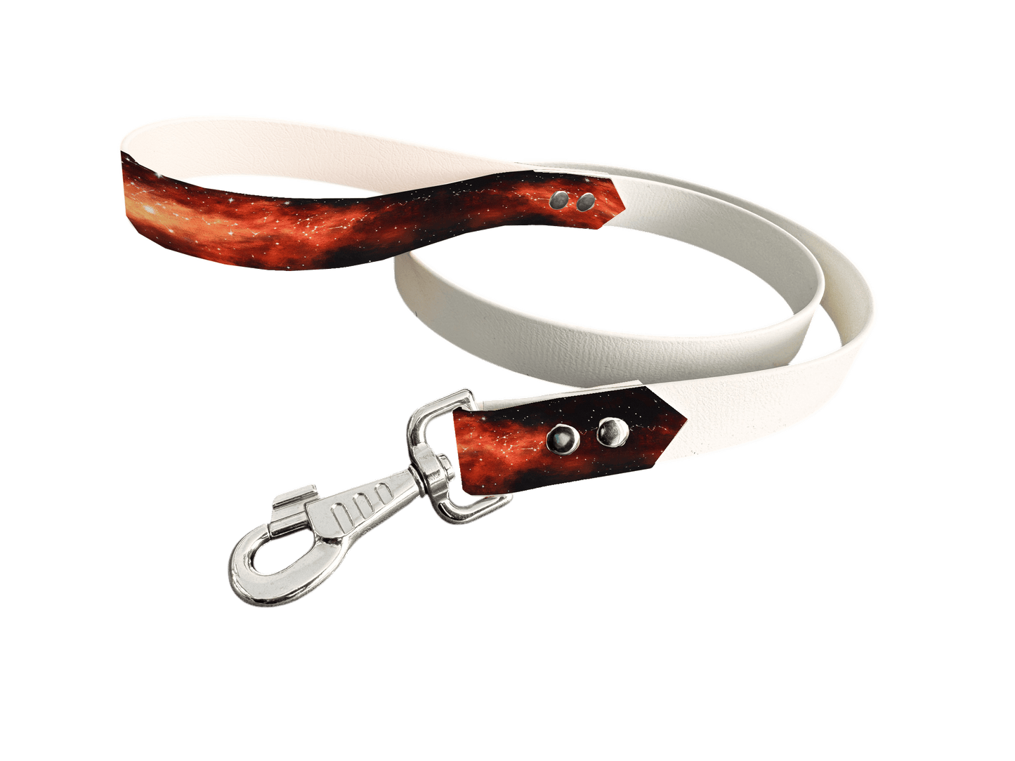 L'atelier du Fourmilier Laisse bicolore poignée imprimée 203 / 19mm Laisse bicolore en BioThane® avec poignée imprimée – Collection Paysages- Coloris au choix