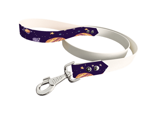 L'atelier du Fourmilier Laisse bicolore poignée imprimée 224 / 19mm Laisse bicolore en BioThane® avec poignée imprimée – Collection Galaxie- Coloris au choix