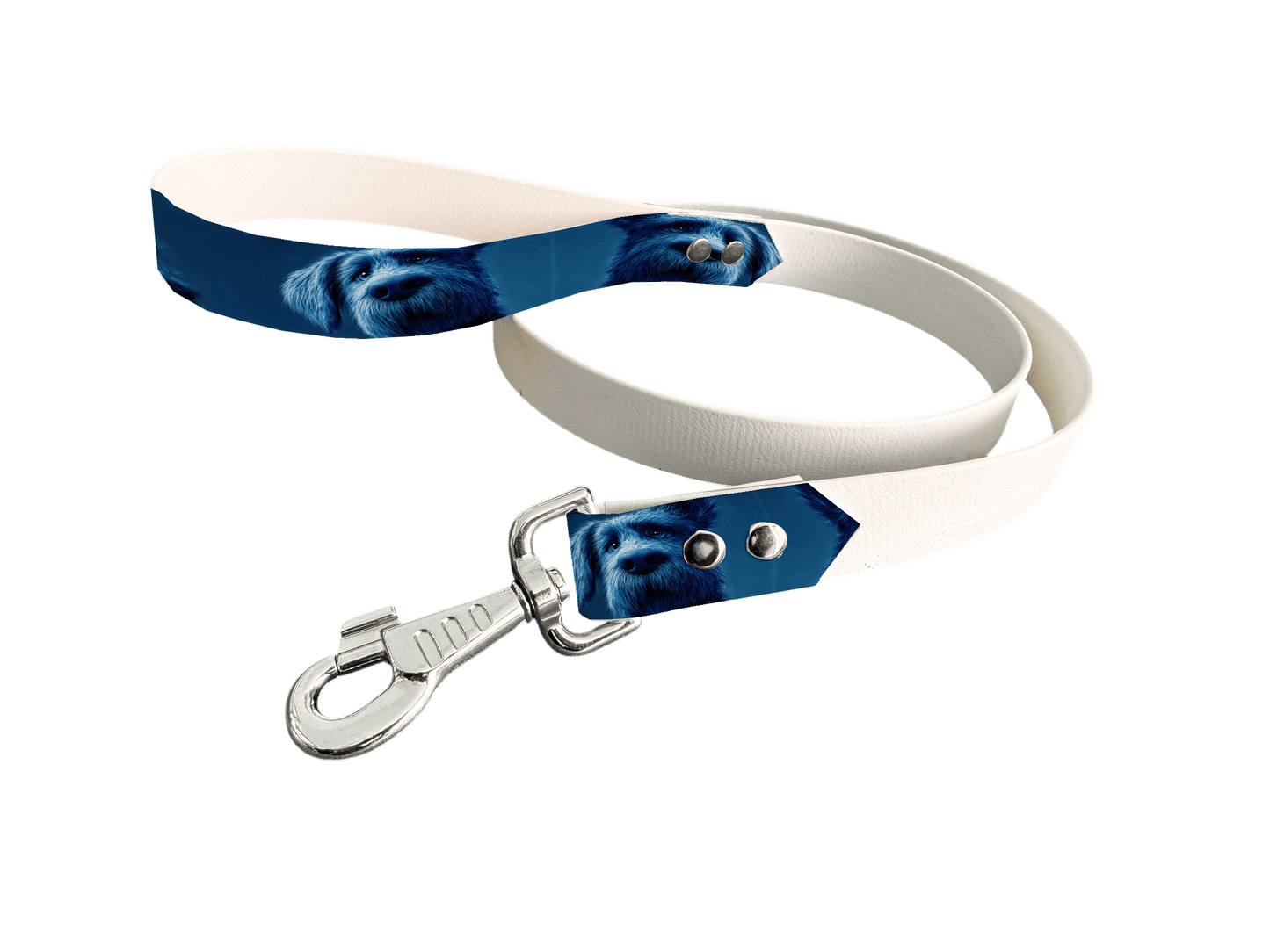 L'atelier du Fourmilier Laisse bicolore poignée imprimée 232 / 19mm Laisse bicolore en BioThane® avec poignée imprimée – Collection Chiens- Coloris au choix