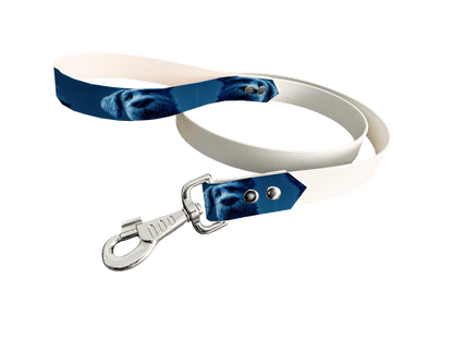 L'atelier du Fourmilier Laisse bicolore poignée imprimée 232 / 19mm Laisse bicolore en BioThane® avec poignée imprimée – Collection Chiens- Coloris au choix