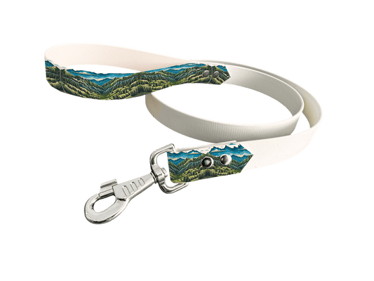 L'atelier du Fourmilier Laisse bicolore poignée imprimée 53 / 19mm Laisse bicolore en BioThane® avec poignée imprimée – Collection Paysages- Coloris au choix