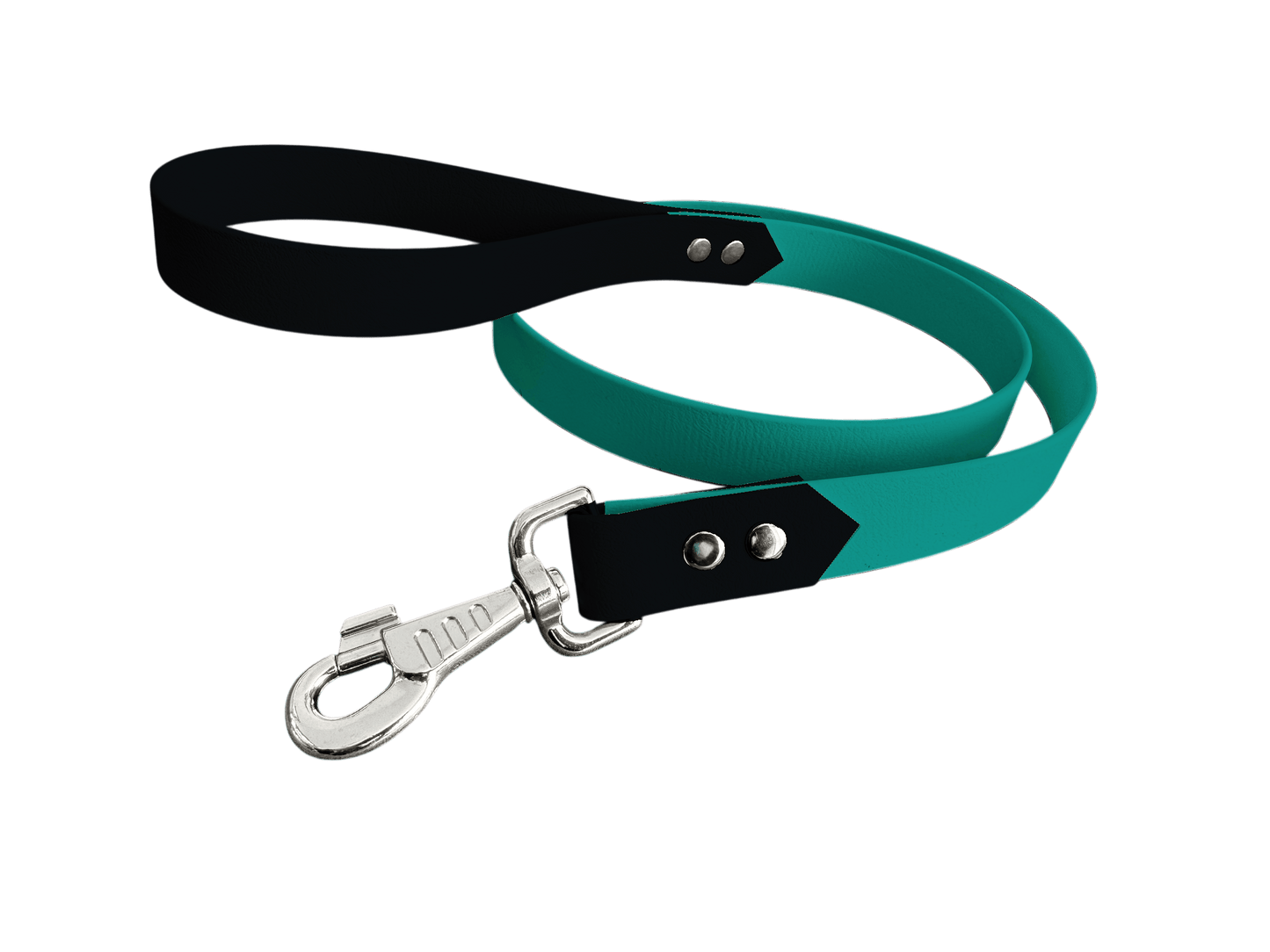 L'atelier du Fourmilier Laisse bicolore Teal Laisse bicolore Classique en BioThane